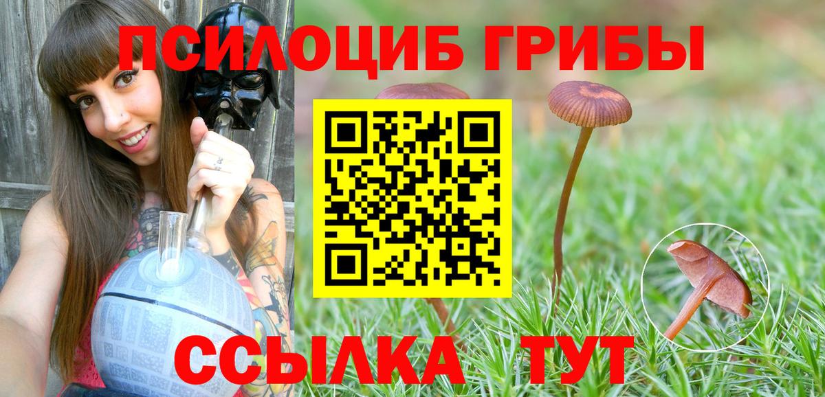цена   Вход с VPN  Апатиты  Псилоцибиновые грибы ЛСД  Галлюциногенные грибы мицелий 