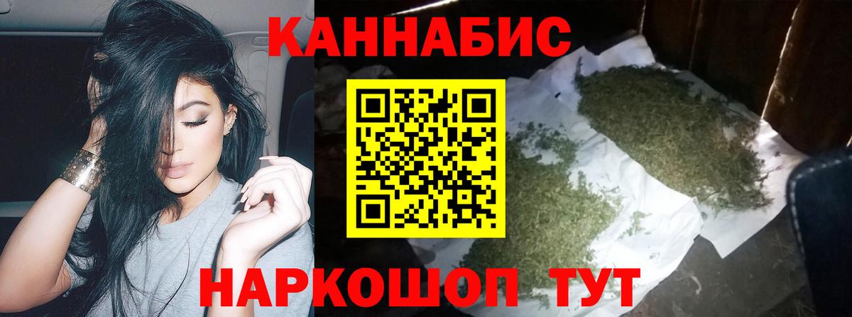 Бошки Шишки планчик Апатиты